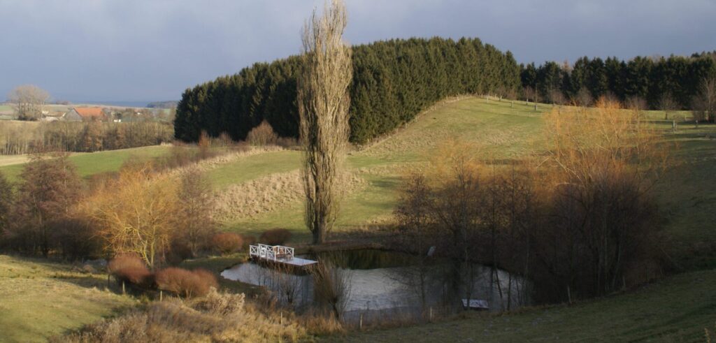 Herbst2018-15-scaled.jpg