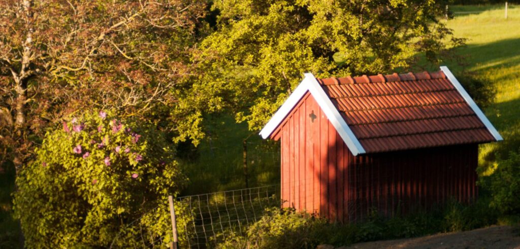 Herbst2018-22-scaled.jpg